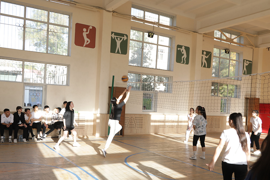 Подробнее о статье Реализация Программы развития студенческого спорта: турнир по волейболу среди девушек