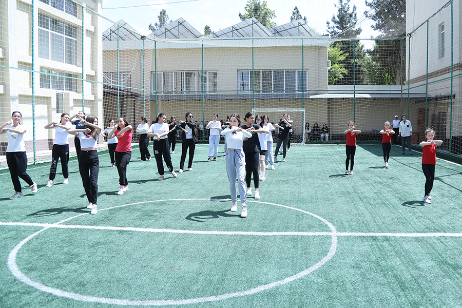 Подробнее о статье Программа развития спорта: мастер-класс «Гимнастика и фитнес для девушек»
