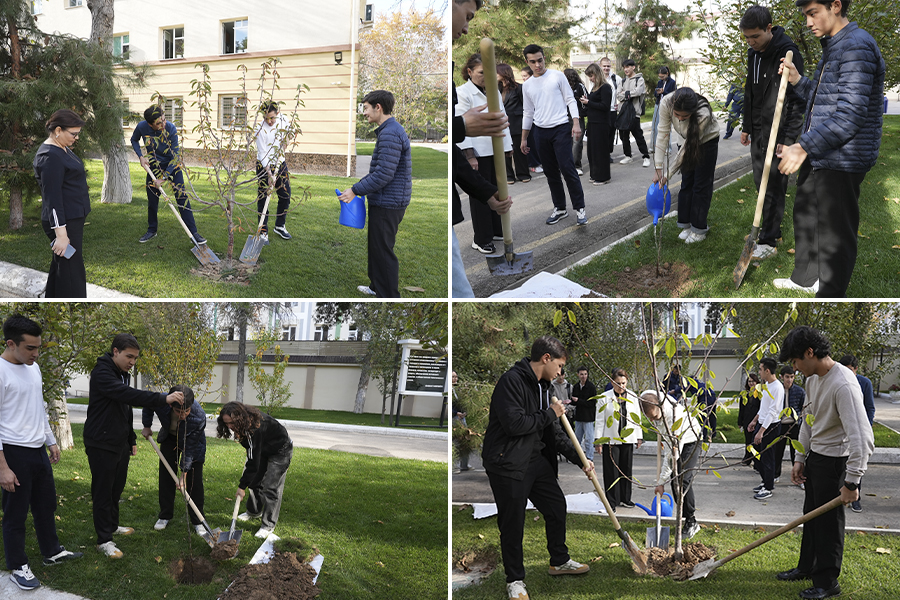 Подробнее о статье «GreenEco сhallenge: «зелёный код филиала»